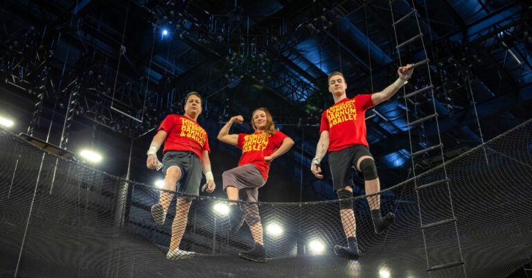 flying trapeze act image